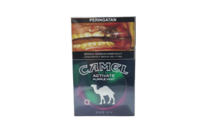 Camel Active Purple Mint 20
